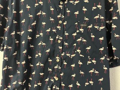 Camisa de manga corta Flamingo, azul, hombre, XL