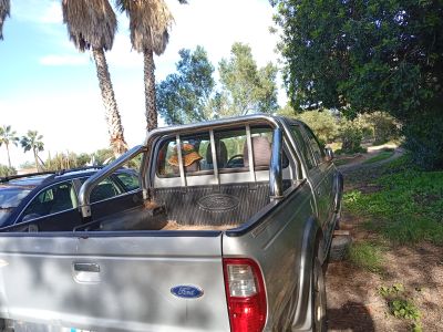 Ford Ranger Pickup zu verkaufen