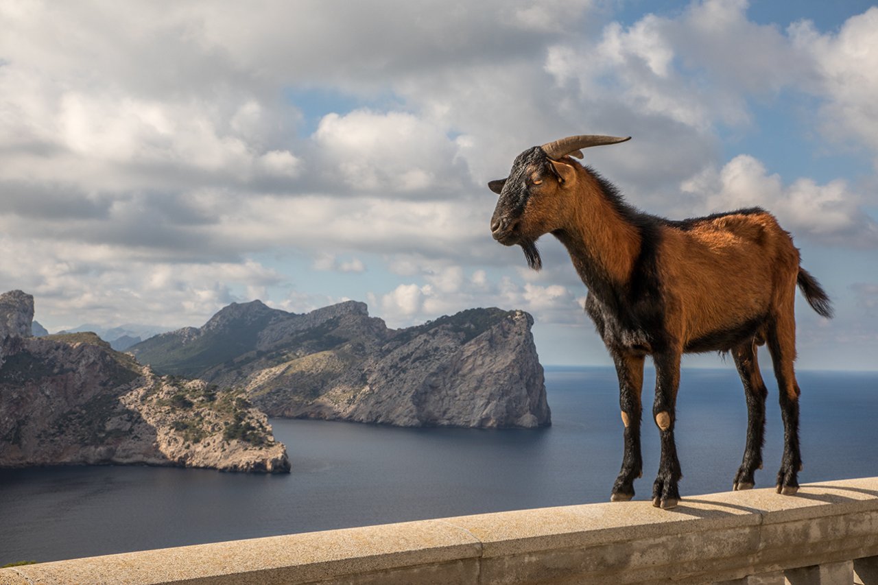 + FOTOGRAF & VISUELLER KÜNSTLER -  MALLORCA +