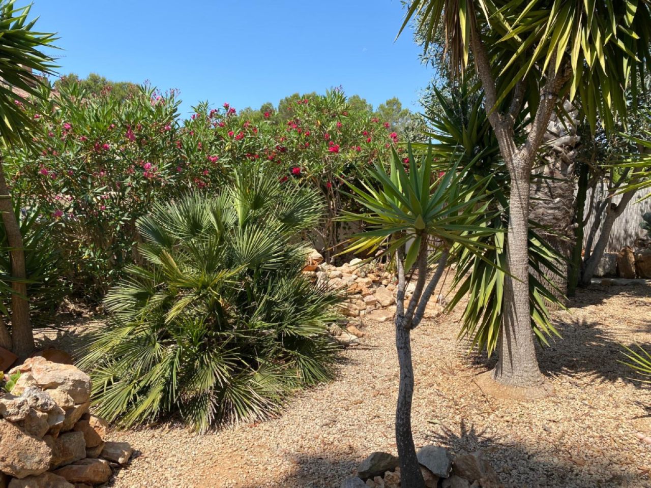 Freistehendes Haus in Sa Vinyola