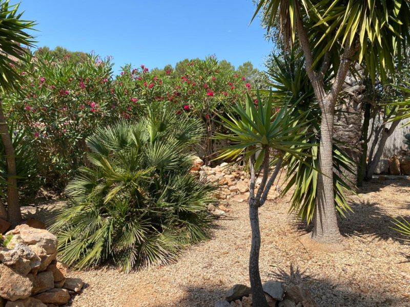 Freistehendes Haus in Sa Vinyola