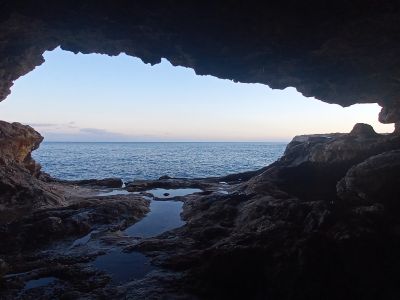 Freundlicher gesellschaftlicher Begleiter auf Mallorca | Nicht-sexuell