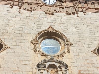 Freundlicher gesellschaftlicher Begleiter auf Mallorca | Nicht-sexuell