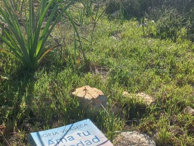 Freundlicher gesellschaftlicher Begleiter auf Mallorca | Nicht-sexuell
