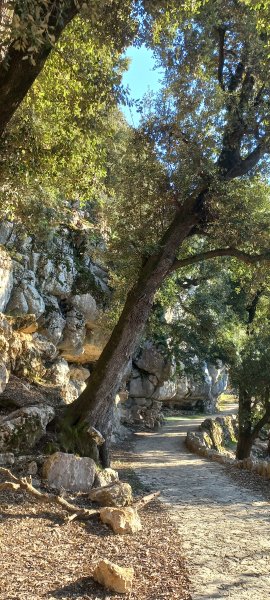 Freundlicher gesellschaftlicher Begleiter auf Mallorca | Nicht-sexuell