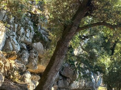 Freundlicher gesellschaftlicher Begleiter auf Mallorca | Nicht-sexuell