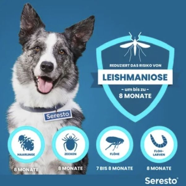 Für große Hunde Seresto Halsband 70 cm gegen Leishmaniose, Flöhe und Zecken, orginalverpackt