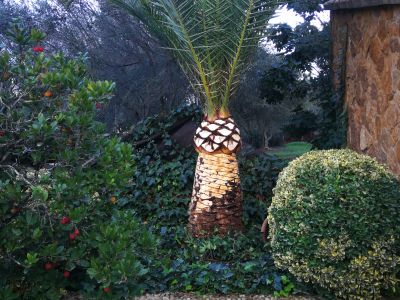 Gardener and Pruner