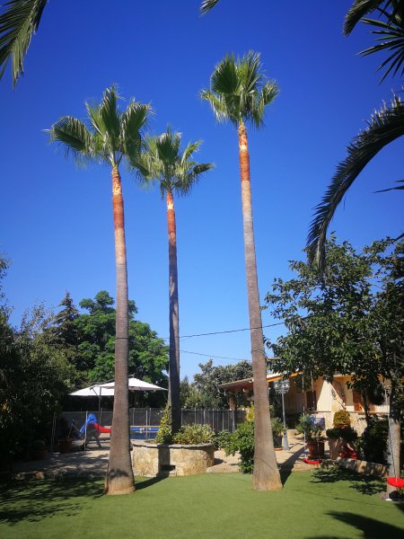 Gardener and Pruner