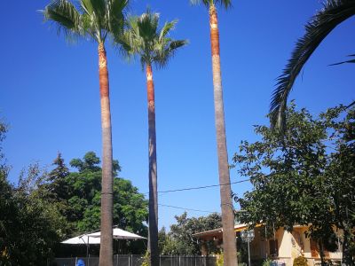 Gardener and Pruner