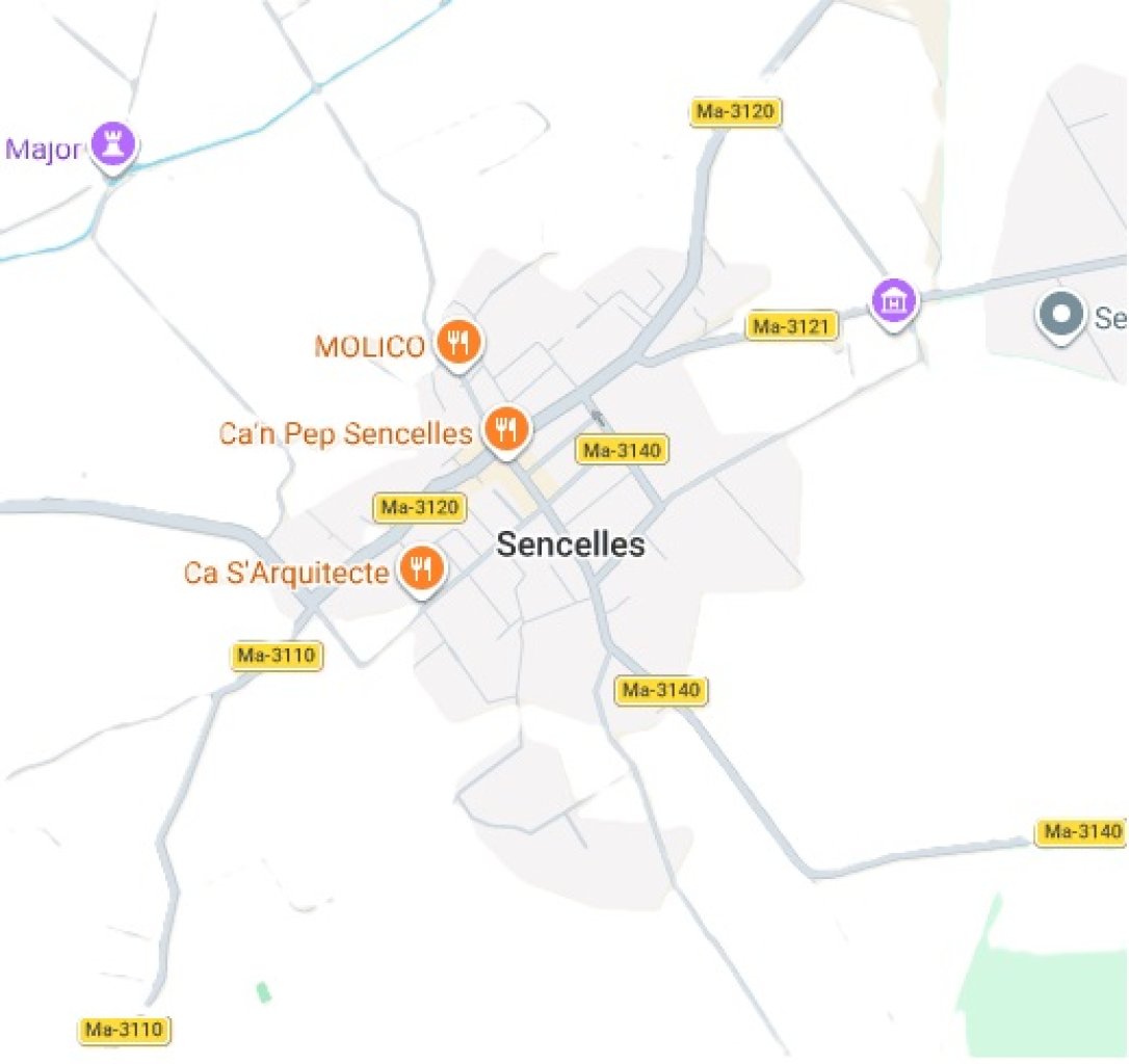 Garage in Sencelles zur Miete gesucht