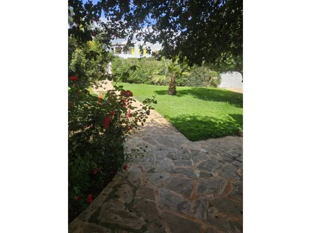 image01