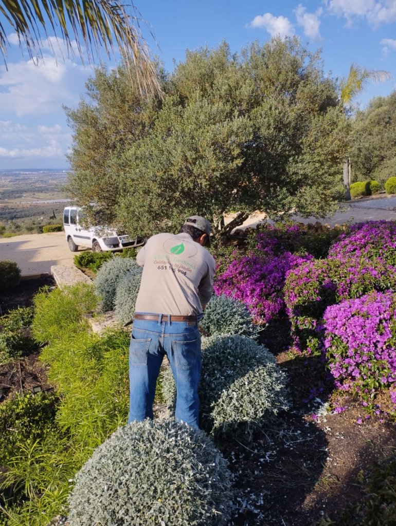 Gartenbau & Steinarbeiten & Maurerarbeiten in Mallorca