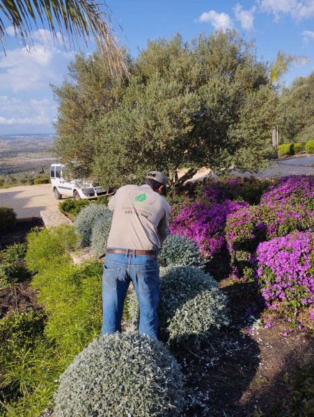Gartenbau & Steinarbeiten & Maurerarbeiten in Mallorca