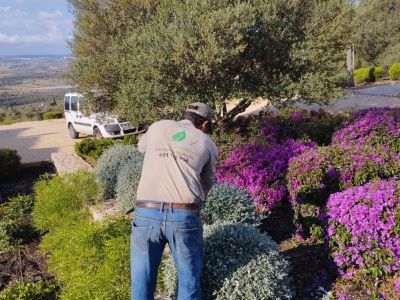 Gartenbau & Steinarbeiten & Maurerarbeiten in Mallorca
