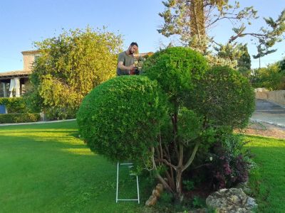 Gartenbau & Steinarbeiten & Maurerarbeiten in Mallorca