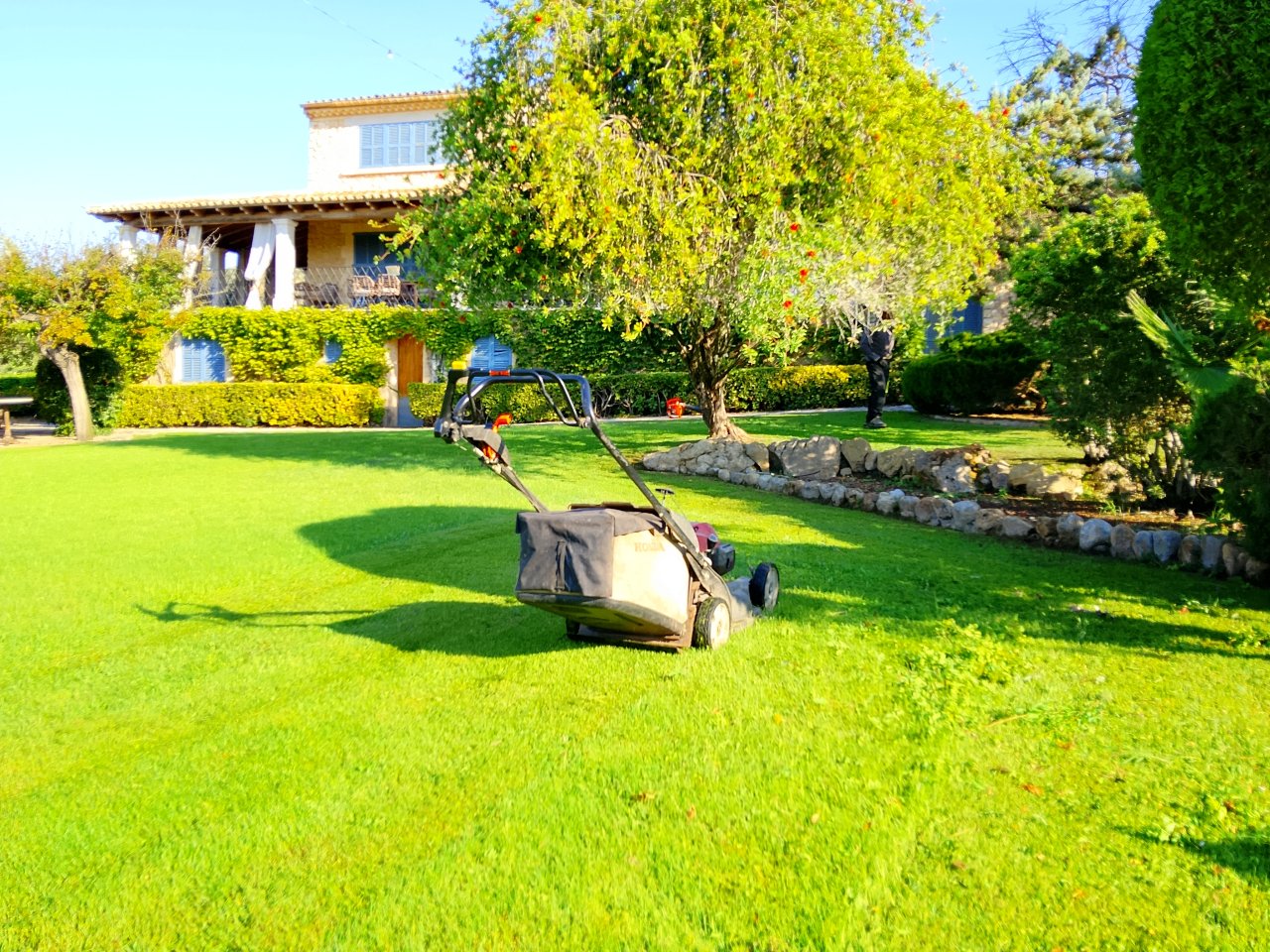 Gartenbau & Steinarbeiten & Maurerarbeiten in Mallorca