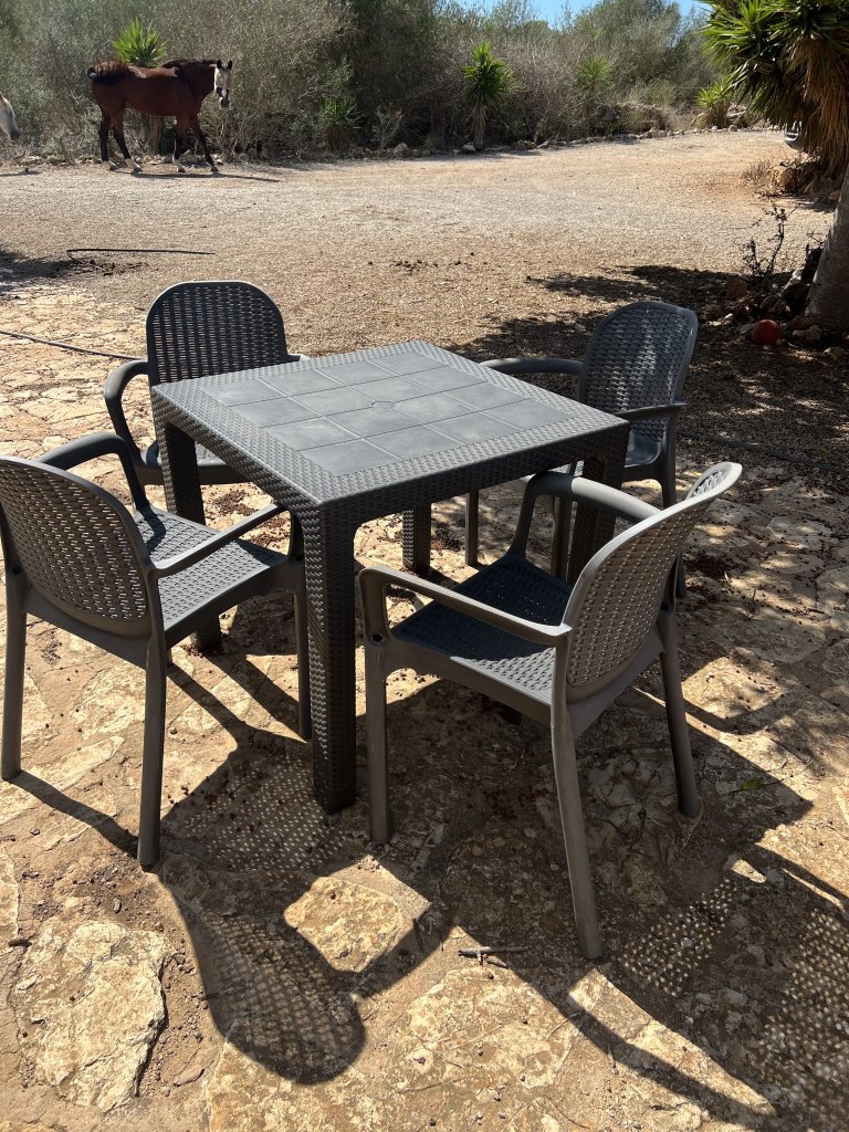Gartenmöbel-Set: Tisch und 4 Stühle, grau