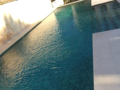 Gartenpflege, Poolwartung und Haushalt