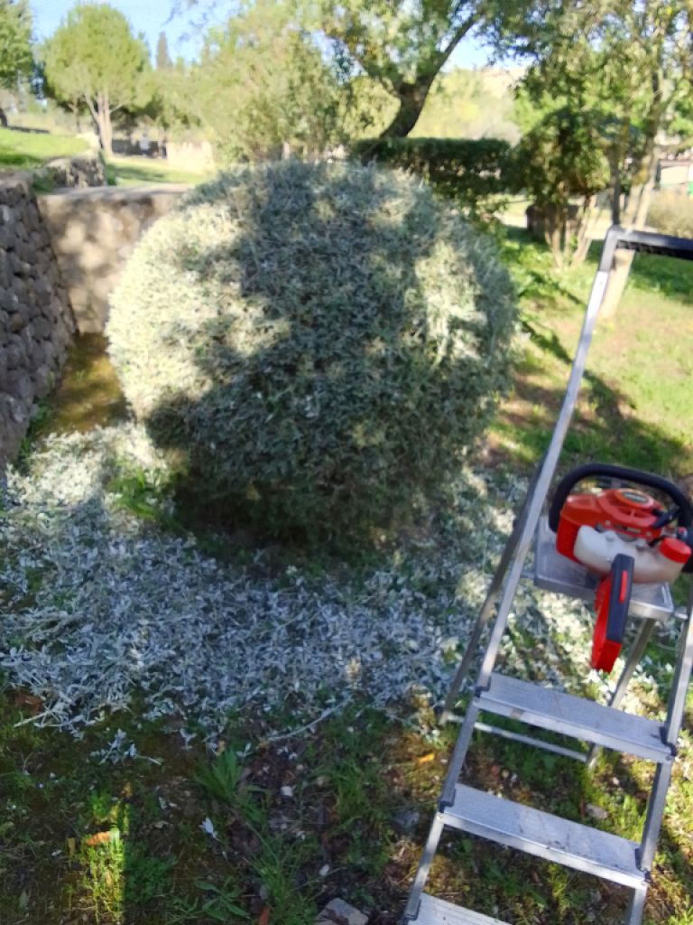 Gartenpflege, Poolwartung und Haushalt