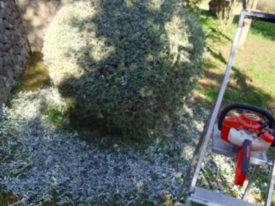 Gartenpflege, Poolwartung und Haushalt