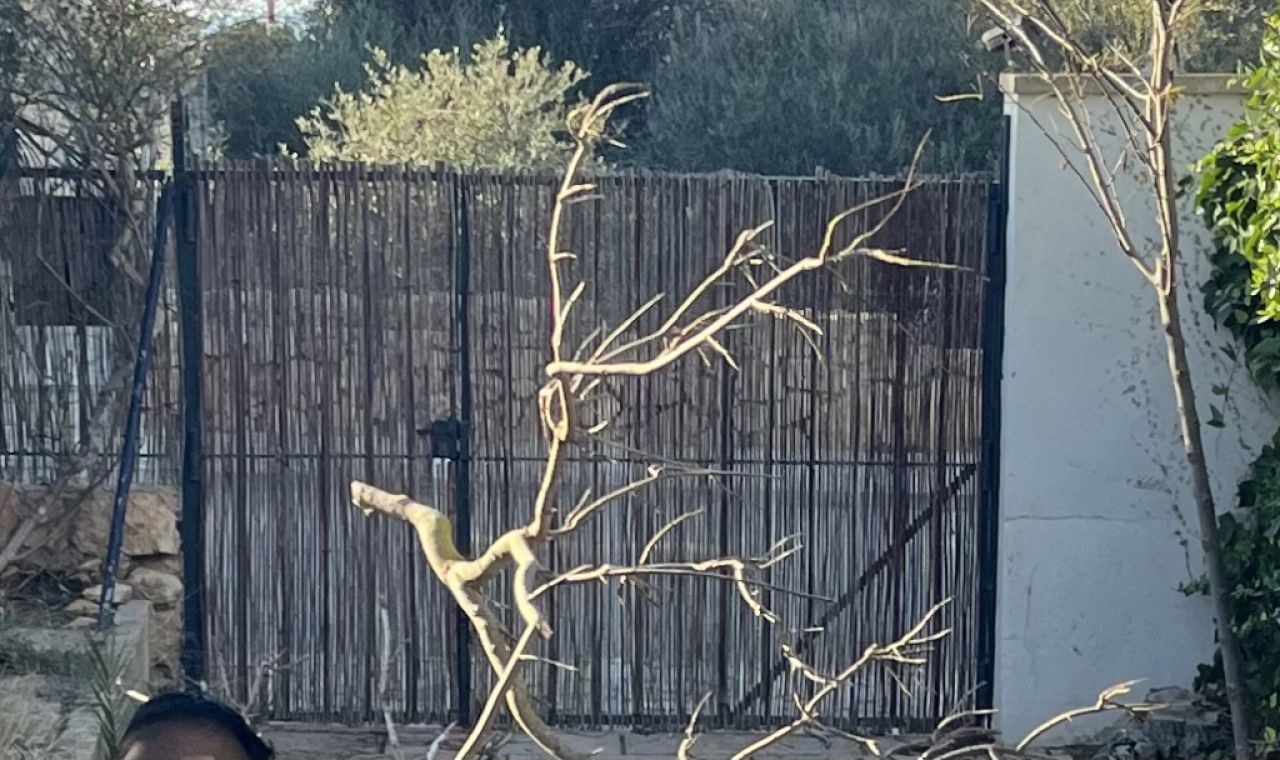 Garden gate, 2-leaf, solid iron!