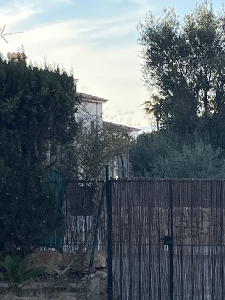 Garden gate, 2-leaf, solid iron!