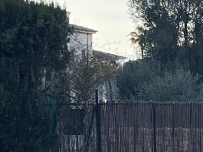 Garden gate, 2-leaf, solid iron!