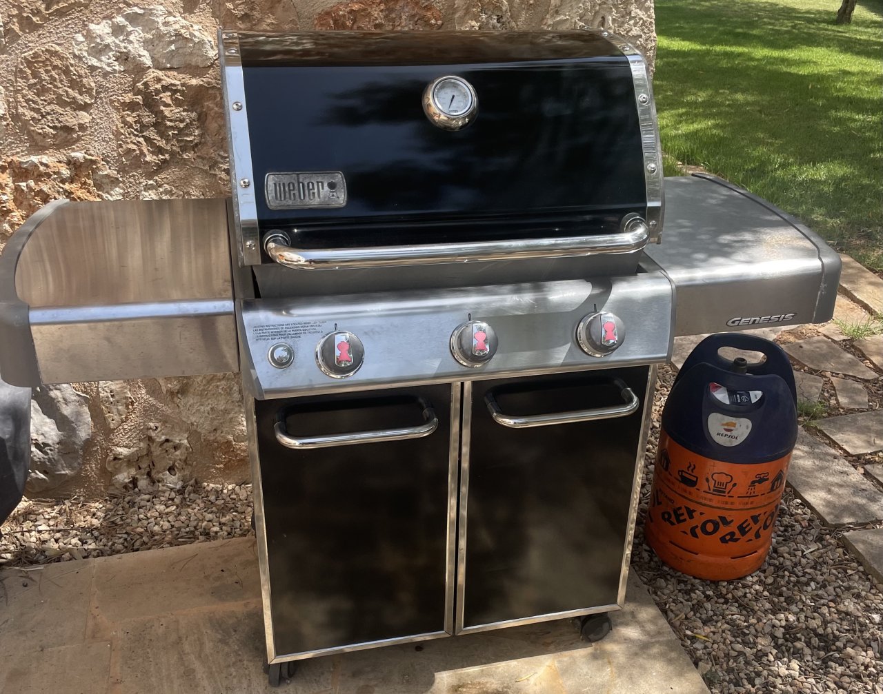 Gasgrill Weber Genesis