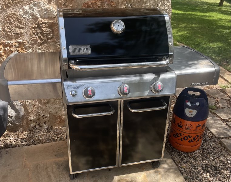 Gasgrill Weber Genesis