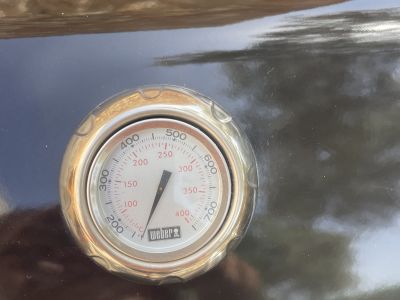 Gasgrill Weber Genesis