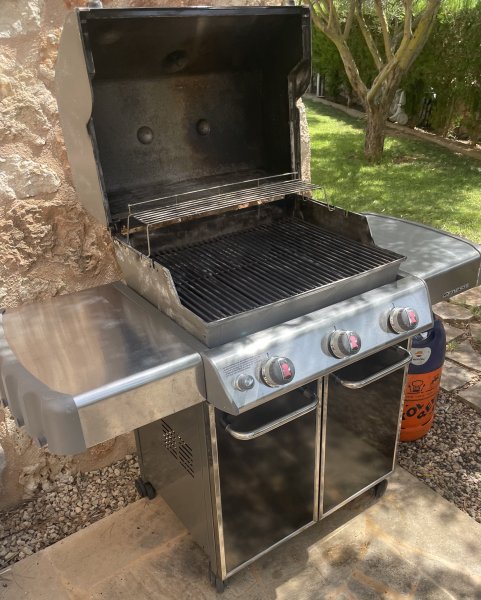 Gasgrill Weber Genesis