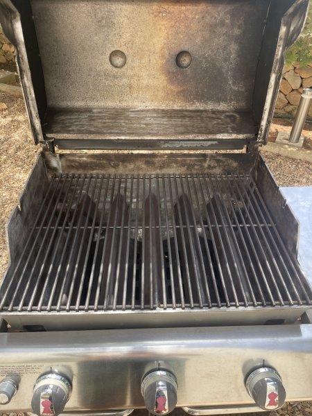 Gasgrill Weber Genesis
