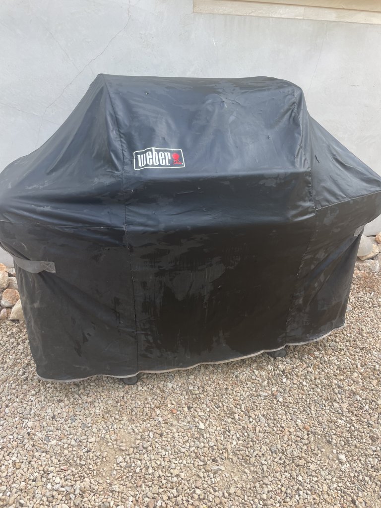 Gasgrill Weber Genesis