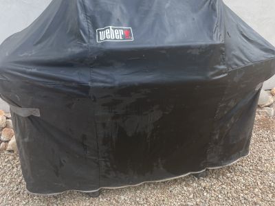 Gasgrill Weber Genesis