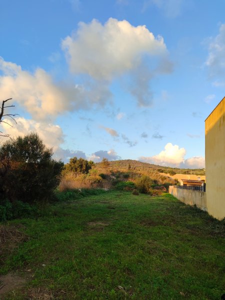 Gebäude und Grundstücke zum Verkauf in Son Carrió, Mallorca