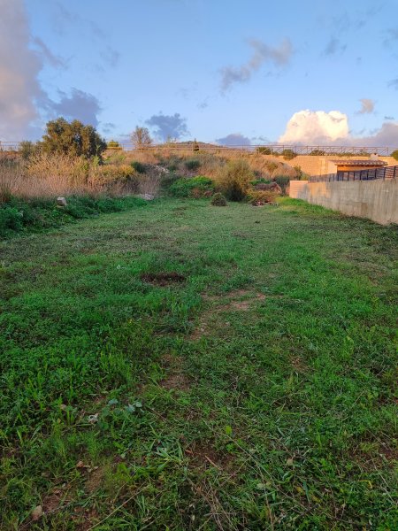 Gebäude und Grundstücke zum Verkauf in Son Carrió, Mallorca