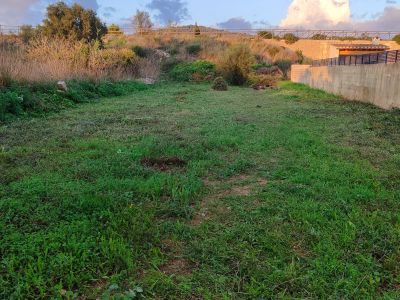 Gebäude und Grundstücke zum Verkauf in Son Carrió, Mallorca