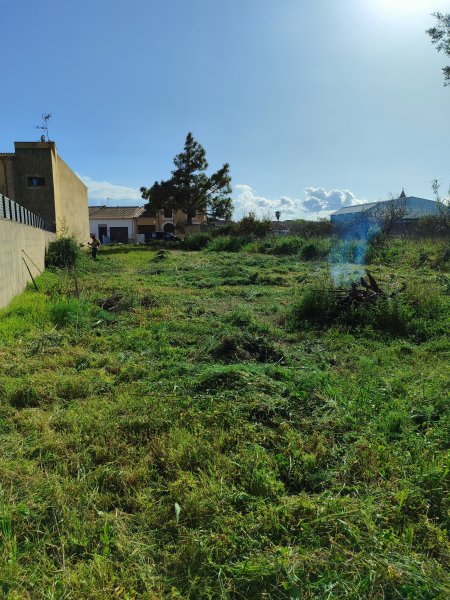 Gebäude und Grundstücke zum Verkauf in Son Carrió, Mallorca