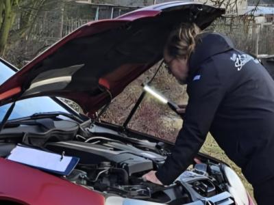 Used Car Check, Used Car Service