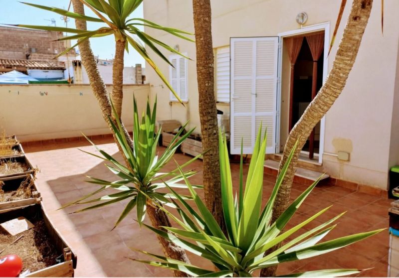 Acogedor apartamento en el romántico pueblo pesquero de Porto Cristo