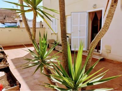 Acogedor apartamento en el romántico pueblo pesquero de Porto Cristo