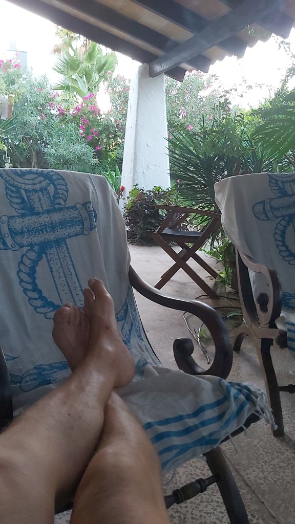 Disfrutar