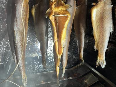 Geräucherte Forellen und Doraden aus Arta