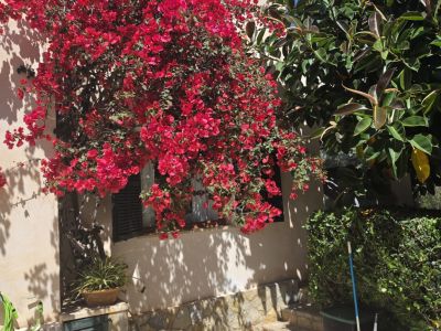 GERÄUMIGE WOHNUNG ZUR TEMPORÄREN MIETE IN CALA BLAVA