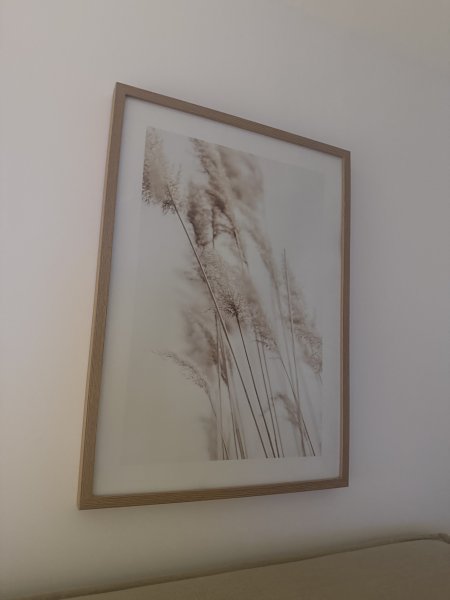 Gerahmte Bilder, beige mit Holzrahmen
