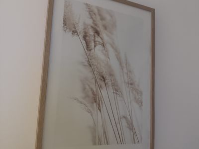 Gerahmte Bilder, beige mit Holzrahmen