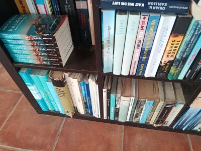 ¡Gratis! Cientos de libros en alemán (novelas y no ficción)