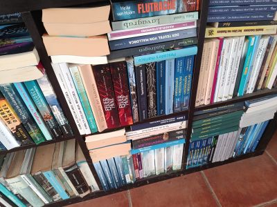 ¡Gratis! Cientos de libros en alemán (novelas y no ficción)