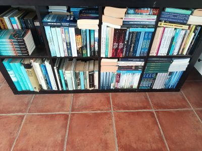 ¡Gratis! Cientos de libros en alemán (novelas y no ficción)